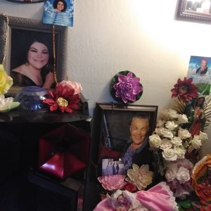 Meet your Posher, Luz